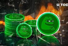 72% من حاملي PEPE يحققون الأرباح مع تجاوز السعر مستوى الصفر - اكتشف التفاصيل الآن!