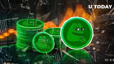 72% من حاملي PEPE يحققون الأرباح مع تجاوز السعر مستوى الصفر - اكتشف التفاصيل الآن!