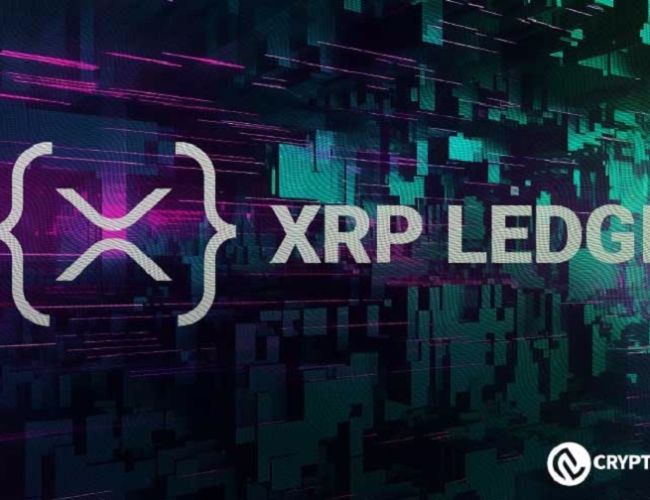 إطلاق XRPL Price Oracle يعزز قدرات DeFi المؤسسية على XRP Ledger - اكتشف التفاصيل!