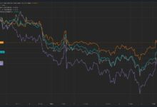 سعر البيتكوين يسحق العملات البديلة مع اقتراب الانتخابات الأمريكية: هل يأتي ارتفاع العملات البديلة بعد ذلك؟ اضغط للقراءة!