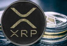 عاجل: ما الذي يحدث في سعر XRP؟ ارتفاع كبير يليه انهيار مفاجئ - اكتشف التفاصيل!