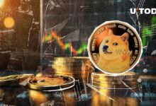 دوجكوين (DOGE) يرتفع بنسبة 30٪ في 7 أيام: اكتشف الأسباب المحتملة