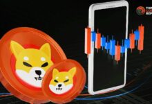 1.67 تريليون من عملة SHIB تغادر البورصات: هل يعيد Shiba Inu التاريخ بزيادة 62%؟