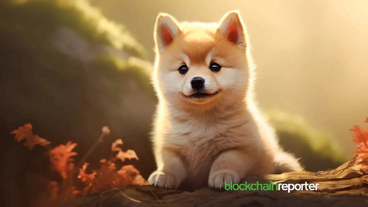 $DOGE يتصدر رموز المزاح بحجم تداول أسبوعي يبلغ 34.2 مليار دولار - اكتشف المزيد!