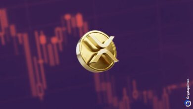 XRP يفقد الزخم وينخفض بنسبة 14% بعد تسجيل أعلى مستوى في سنوات – هل هذا هو القمة؟ اكتشف الآن!