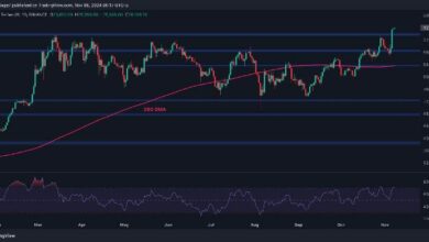 تحليل سعر البيتكوين: الثيران يستهدفون $80K بعد ارتفاع أسبوعي بنسبة 8٪ - اكتشف التفاصيل الآن!