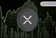 "هل يجب على حاملي XRP القلق؟ اكتشف توقعات المحلل للاتجاه القادم لـ XRP"