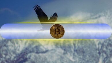 بيتكوين (BTC) يسجل قمة تاريخية جديدة قرب 94 ألف دولار مع عودة صعود السوق - اكتشف التفاصيل الآن!