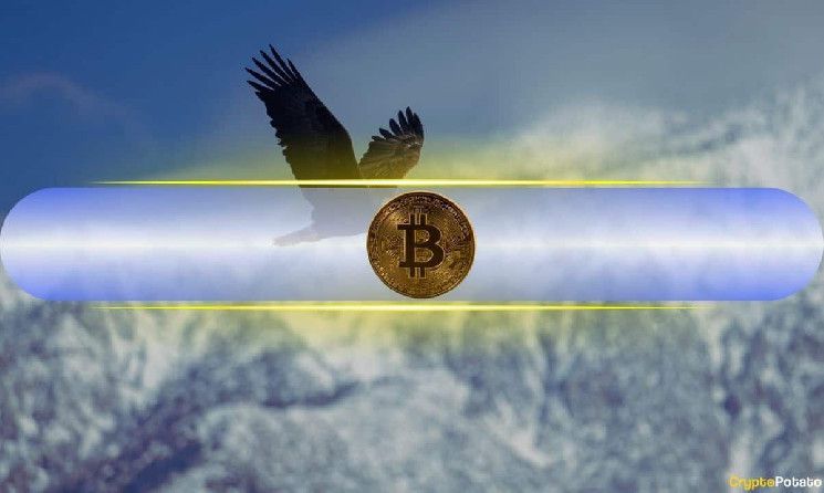 بيتكوين (BTC) يسجل قمة تاريخية جديدة قرب 94 ألف دولار مع عودة صعود السوق - اكتشف التفاصيل الآن!