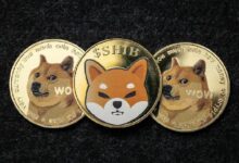 Doge أم SHIB؟ اكتشف توقعات ChatGPT-4o للاستثمار الأفضل في 2025 الآن!