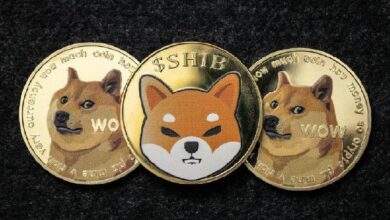 Doge أم SHIB؟ اكتشف توقعات ChatGPT-4o للاستثمار الأفضل في 2025 الآن!