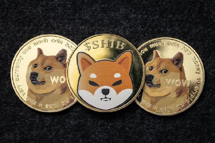 Doge أم SHIB؟ اكتشف توقعات ChatGPT-4o للاستثمار الأفضل في 2025 الآن!