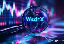 وظيفة داخلية أم تستر؟ اتهامات جديدة تشعل الجدل حول WazirX - اكتشف المزيد!