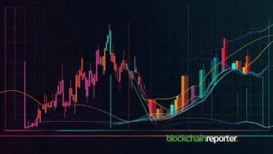 DWFLabs توسع ممتلكاتها: استلام 4.14 مليار $X بعد إيداع 89.7 مليار $X - اكتشف التفاصيل الآن!