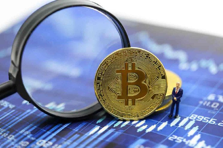 هل تخطط لبيع البيتكوين على المكشوف؟ اكتشف أحدث نسبة بيع BTC