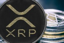 ارتفاع جديد لسعر XRP: الثيران يستعدون للتحرك الآن