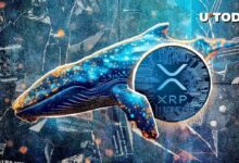 نشاط حيتان XRP يصل لأعلى مستوى على الإطلاق وسعره يستهدف $3: اكتشف التفاصيل