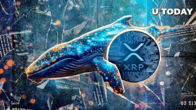 نشاط حيتان XRP يصل لأعلى مستوى على الإطلاق وسعره يستهدف $3: اكتشف التفاصيل