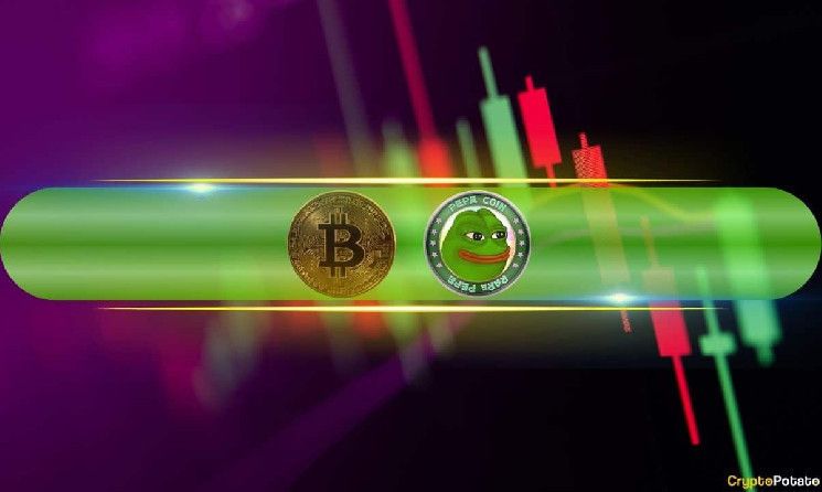 سعر عملة PEPE يرتفع بنسبة 6% يوميًا، والبيتكوين يتعافى إلى 94 ألف دولار بعد أدنى مستوى شهري (متابعة السوق)