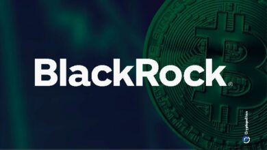 هل أنت متحمس للبيتكوين؟ ارتفاع حيازات BlackRock من IBIT بنسبة 117%! اكتشف التفاصيل الآن!