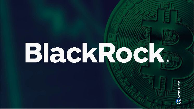 هل أنت متحمس للبيتكوين؟ ارتفاع حيازات BlackRock من IBIT بنسبة 117%! اكتشف التفاصيل الآن!