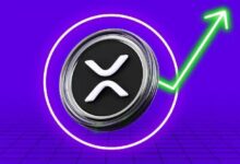 فرصة شراء مع تدفقات خارجة بقيمة 300 مليون XRP؟