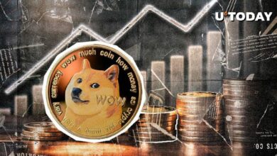 دوجكوين (DOGE) يقفز 12% - اكتشف إمكانية ارتفاع أكبر قريبًا!