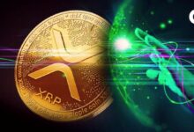 هل سيكون XRP البيتكوين القادم؟ انضم إلى النقاش حول إمكانيات ارتفاع السعر إلى 1200 دولار