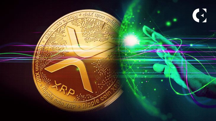 هل سيكون XRP البيتكوين القادم؟ انضم إلى النقاش حول إمكانيات ارتفاع السعر إلى 1200 دولار