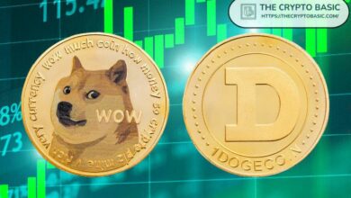 إليك سنوات القاع وما قبل الضخ والضخ لدوجكوين: إشارات الشموع الأسبوعية تجهز DOGE للجولة القادمة - اكتشف المزيد الآن!