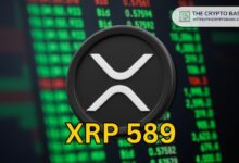 خبير يكشف المعنى المحتمل وراء رقم XRP 589، لكن توجد مفاجأة