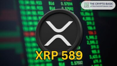 خبير يكشف المعنى المحتمل وراء رقم XRP 589، لكن توجد مفاجأة