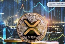 مستقبل XRP: هل يمكن أن يصل إلى قيمة سوقية تبلغ 1.2 تريليون دولار؟ اكتشف تحليل الخبراء!