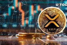 هل يصل سعر XRP إلى 3 دولارات؟ اكتشف المستوى الحاسم للبقاء على اطلاع