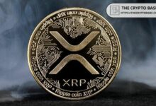 مدرب التداول يشيد بمرونة XRP خلال انهيار السوق الأخير، ويؤكد: "راقب XRP الآن"