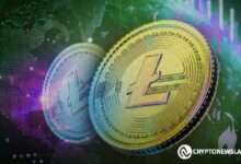 مخططات أسعار لايتكوين وستيلر تظهر إشارات ضخ قوية: محلل يتوقع وصول سعر LTC إلى $354 و XLM إلى $6 – $9! اكتشف المزيد الآن!