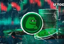 PEPE: تراجع بنسبة 36% عن القمة، اكتشف ما حدث!