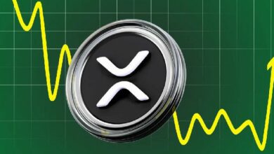 توقعات سعر XRP ليوم 29 ديسمبر - اكتشف الاتجاه الآن!