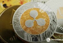 تقييم ما قبل الطرح الأولي لريبل يثير الجدل بين مستثمري XRP - اكتشف التفاصيل!