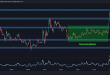 تحليل سعر الريبل: إلى أين يتجه XRP بعد الانهيار الكبير والتعافي السريع؟ اكتشف الآن!