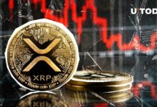 فرصة ذهبية لمستثمري XRP بعد هبوط بنسبة 6٪ – اكتشف التفاصيل!