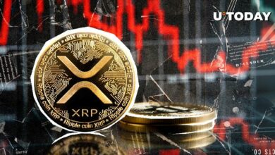 فرصة ذهبية لمستثمري XRP بعد هبوط بنسبة 6٪ – اكتشف التفاصيل!