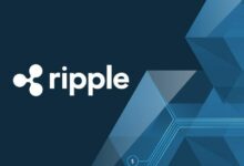 عملة Ripple المستقرة RLUSD تجذب عروضًا محمومة مقابل 800 XRP قبيل الإطلاق الرسمي! اقرأ التفاصيل الآن