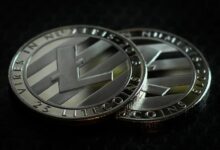 توقعات سعر لايتكوين: LTC تصل إلى $130 لأول مرة منذ ثلاث سنوات مع ارتفاع الفائدة المفتوحة - اكتشف المزيد!