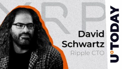 تقنيات حرق XRP في عملة Ripple USD المستقرة: توضيحات من كبير تقنيي ريبل - اكتشف المزيد!