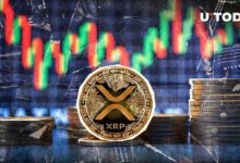 "حان الوقت لاتخاذ القرار: متداول بارز يعتقد أن XRP تستعد للجولة الثانية"