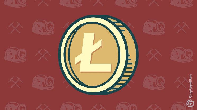 هل تعدين الدمج لليتكوين (LTC) هو الاتجاه الجديد للتوكنات؟ اكتشف الآن!