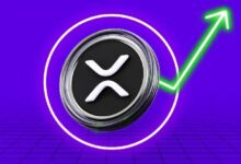 تنبيه شراء XRP! تدفق بقيمة 213 مليون دولار خارج البورصات - اكتشف التفاصيل الآن