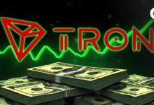 نمو TRON في 2024: إيرادات قياسية ونشاط مرتفع وآفاق واعدة - اكتشف المزيد!