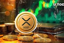 ارتفاع مؤشر XRP بنسبة 40% - اكتشف إمكانيات الرالي المحتمل الآن!